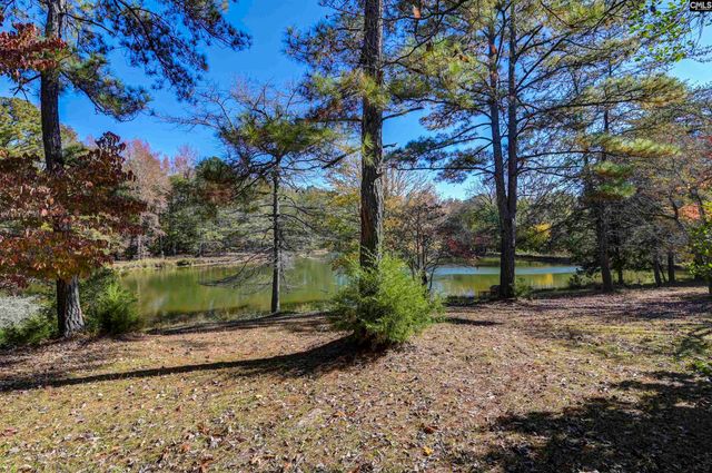 1155 Russ Brown Road, Blythewood, SC 29016