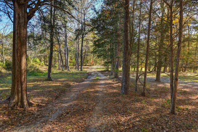 1155 Russ Brown Road, Blythewood, SC 29016