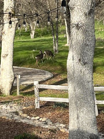 29503 Spence Lane, Tollhouse, CA 93667