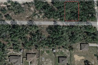 MALAUKA PASS TRL, Ocklawaha, FL 32179