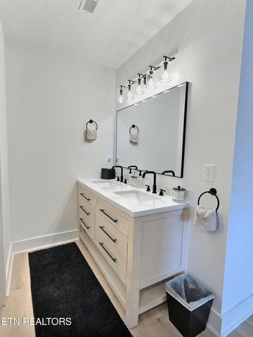 117 W Deer Hill Village Lane, Lafollette, TN 37766