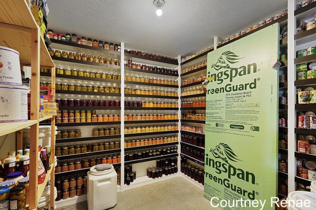 6335 Meta Drive, Winfield Twp, MI 49322