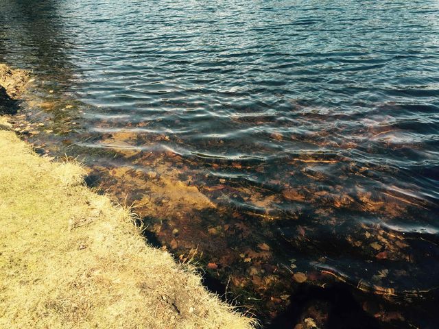 39 Pine Road, Fitzwilliam, NH 03447