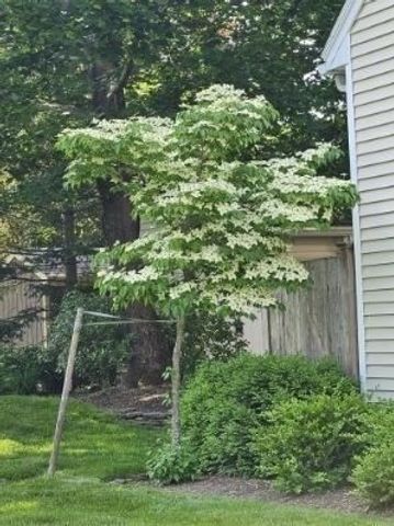 26 Fagan 26, Uxbridge, MA 01569