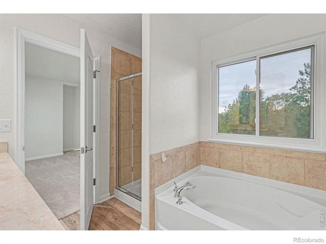 2134 Blue Wing Drive, Johnstown, CO 80534