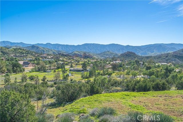 10540 Darling Road, Agua Dulce, CA 91390