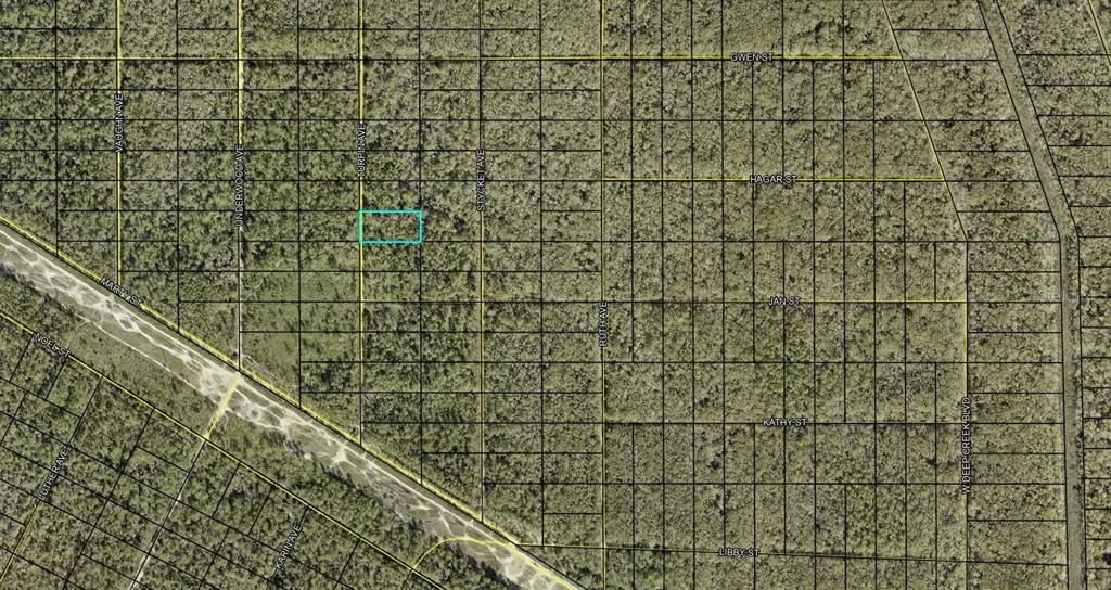 XXX TURPIN AVE AVENUE, Hastings, FL 32145