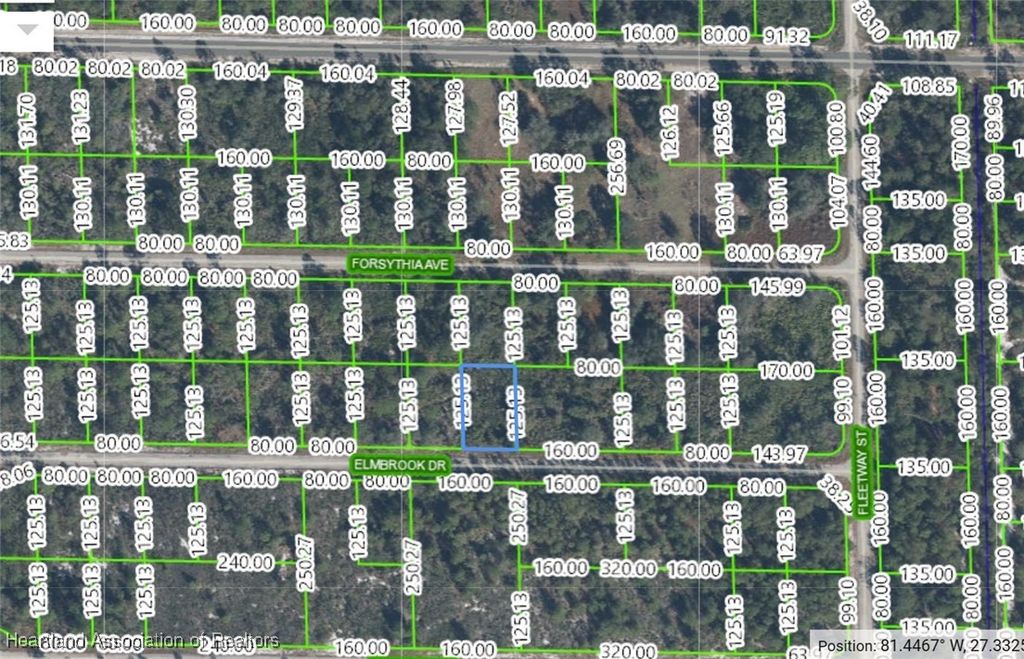 3339 Elmbrook Drive, Lake Placid, FL 33852