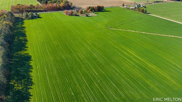 529 68th Street, South Haven, MI 49090