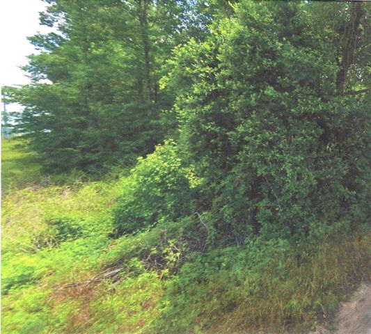 0 N Highway 75 Highway, Willis, TX 77378