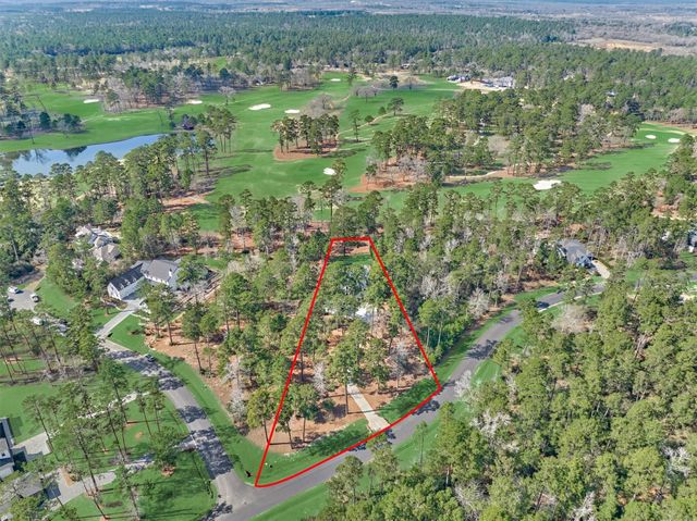 4443 Lily Bean Road, Montgomery, TX 77316