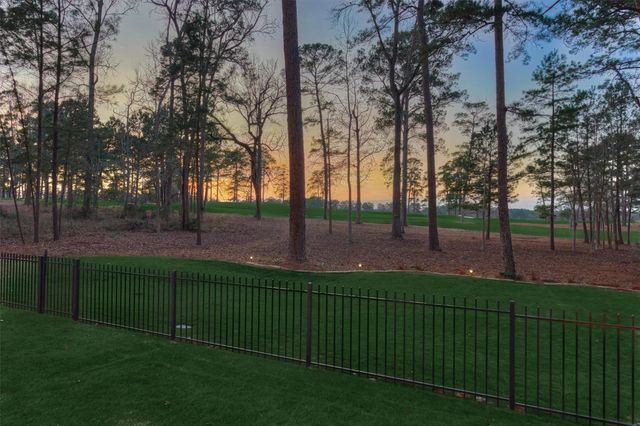 4443 Lily Bean Road, Montgomery, TX 77316