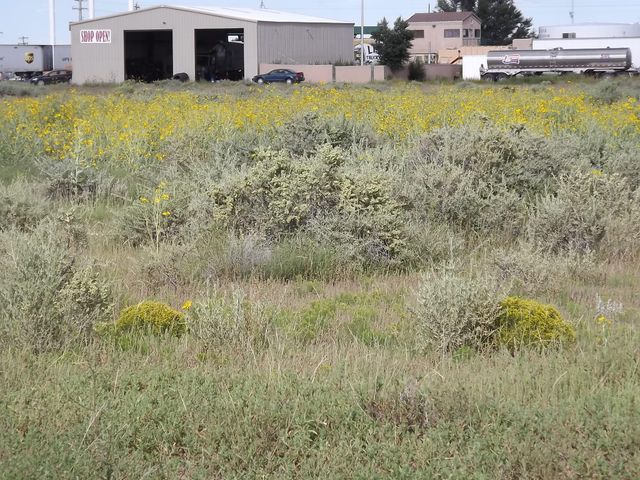U.S. Rt. 66 E (Tr 2-A-2-B), Moriarty, NM 87035