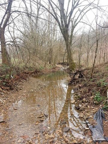 0 Old Bottom Road, Lafayette, TN 37083