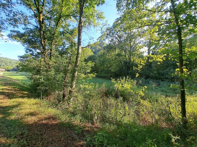 0 Old Bottom Road, Lafayette, TN 37083