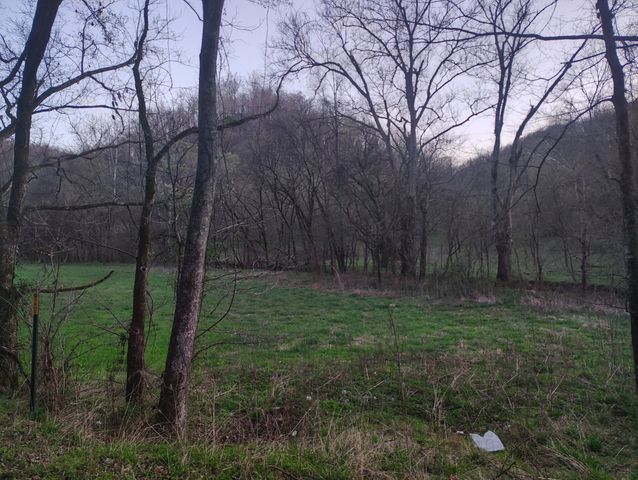 0 Old Bottom Road, Lafayette, TN 37083