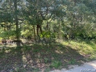 3234 AMPHIBIAN Point, Crystal River, FL 34428
