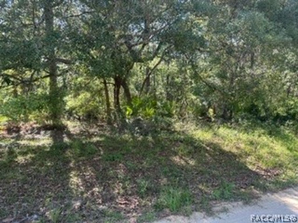 3234 AMPHIBIAN Point, Crystal River, FL 34428