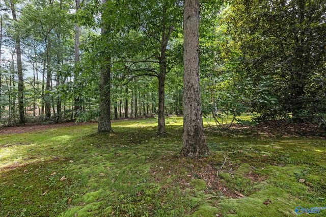 1350 Pennington Court SW, Hartselle, AL 35640