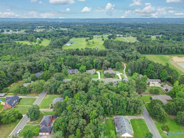 1350 Pennington Court SW, Hartselle, AL 35640