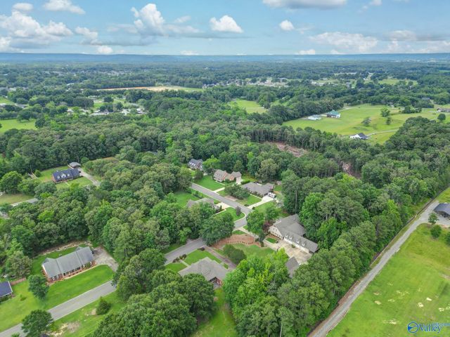 1350 Pennington Court SW, Hartselle, AL 35640