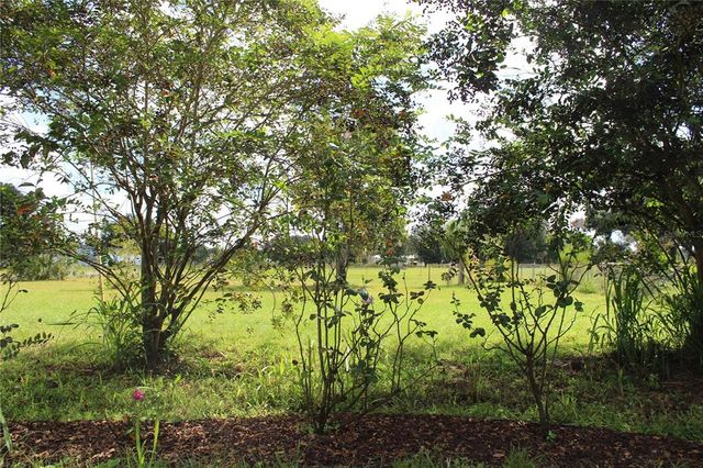 6715 GATOR RANCH STREET, Plant City, FL 33565