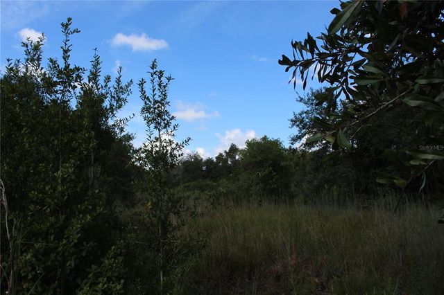 6715 GATOR RANCH STREET, Plant City, FL 33565