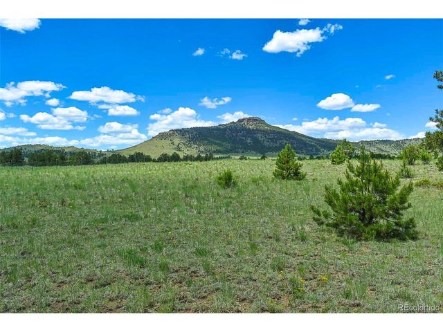 56 View Ln, Guffey, CO 80820