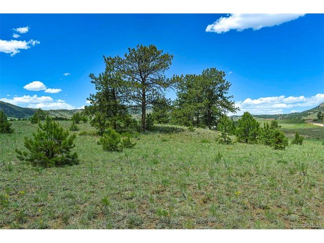 56 View Ln, Guffey, CO 80820