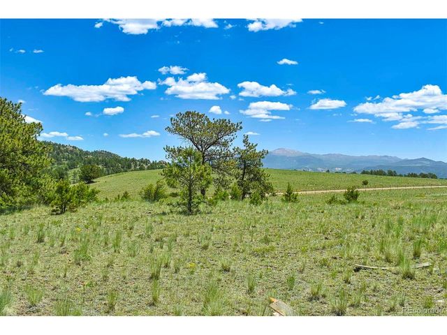56 View Ln, Guffey, CO 80820