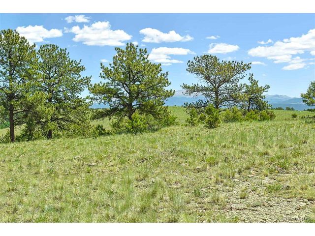 56 View Ln, Guffey, CO 80820