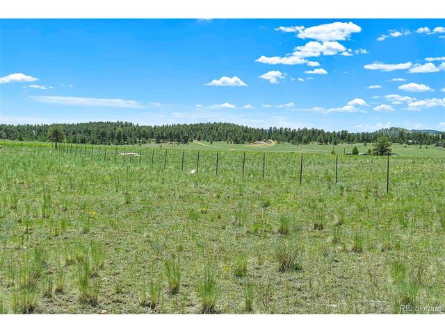 56 View Ln, Guffey, CO 80820
