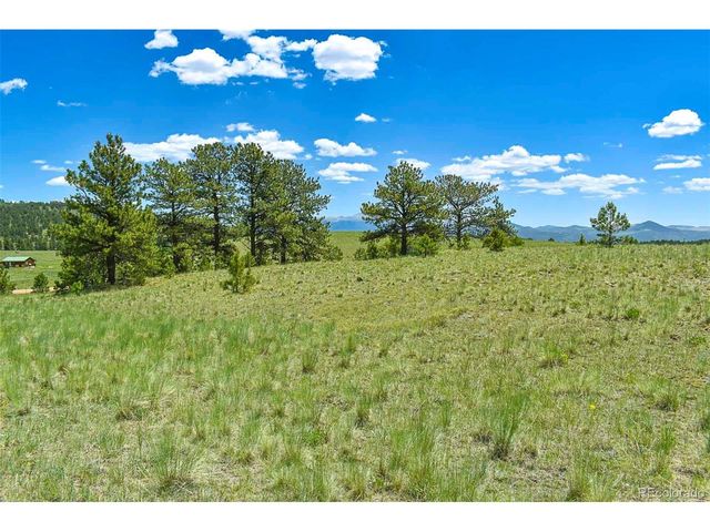 56 View Ln, Guffey, CO 80820