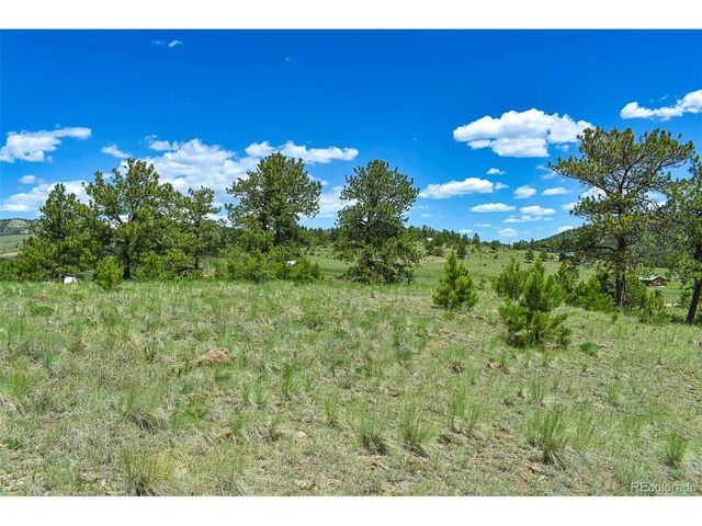 56 View Ln, Guffey, CO 80820