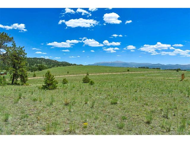 56 View Ln, Guffey, CO 80820