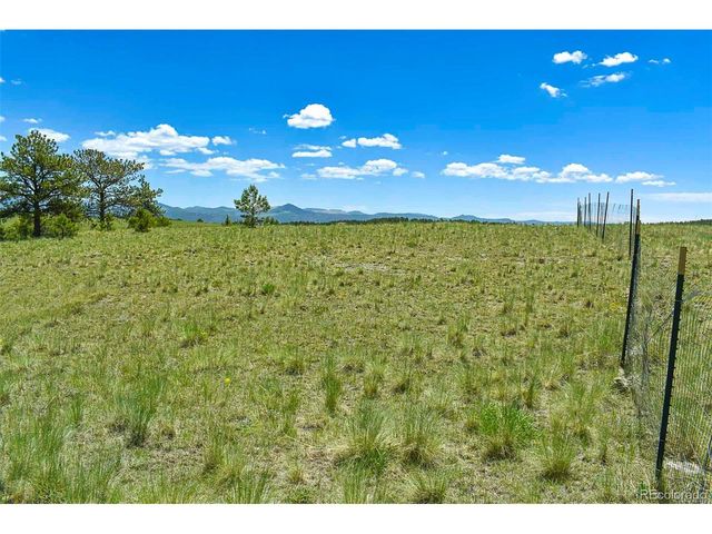 56 View Ln, Guffey, CO 80820