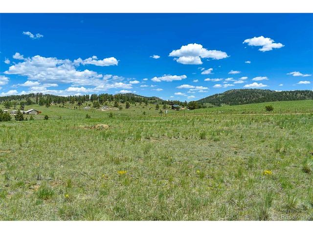 56 View Ln, Guffey, CO 80820