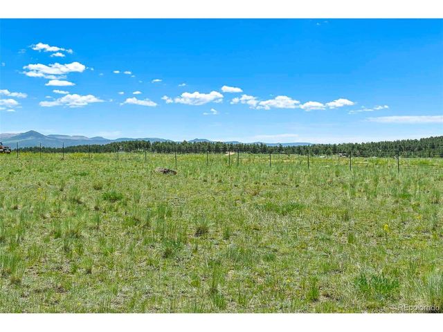56 View Ln, Guffey, CO 80820
