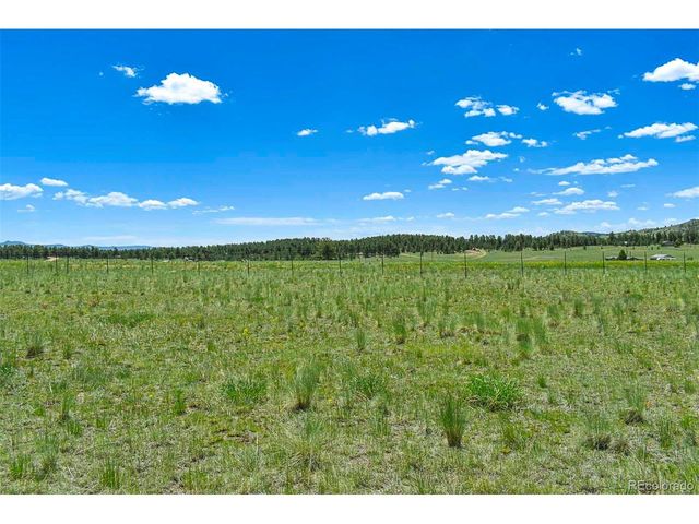 56 View Ln, Guffey, CO 80820