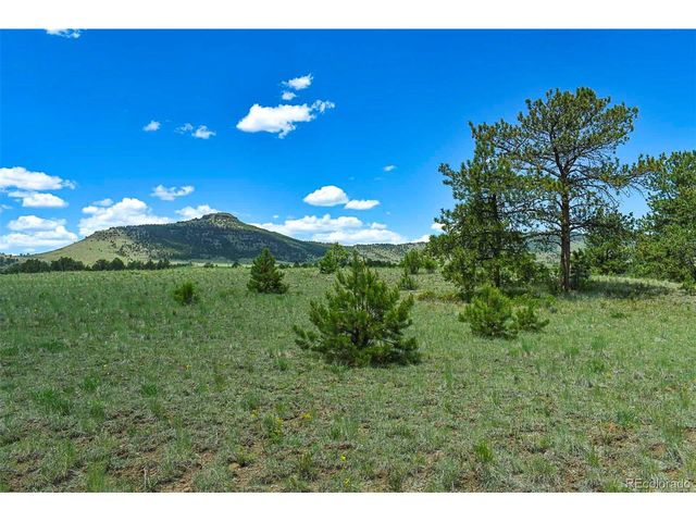 56 View Ln, Guffey, CO 80820