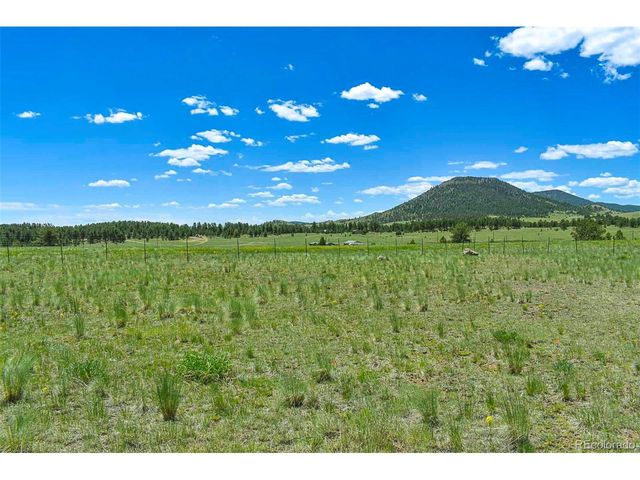56 View Ln, Guffey, CO 80820