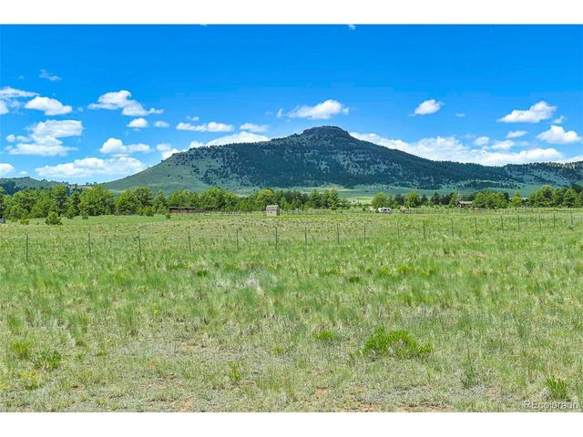 56 View Ln, Guffey, CO 80820