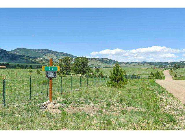 56 View Ln, Guffey, CO 80820