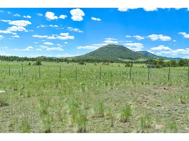 56 View Ln, Guffey, CO 80820