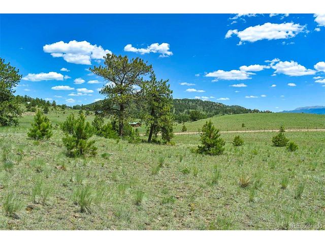 56 View Ln, Guffey, CO 80820