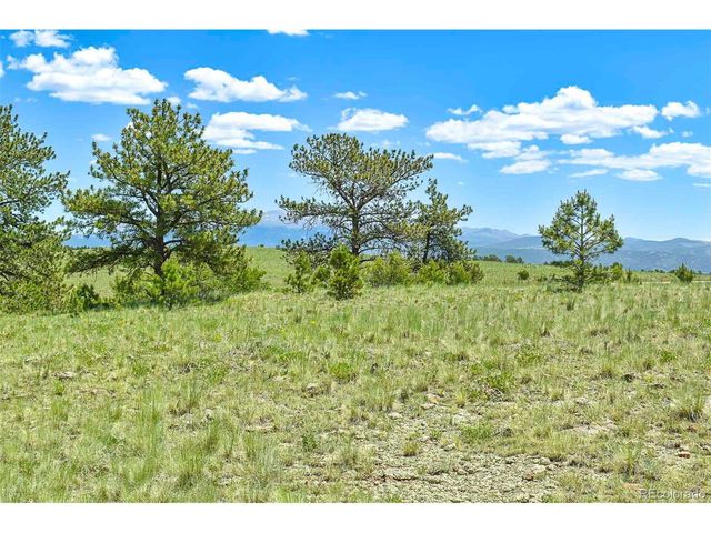 56 View Ln, Guffey, CO 80820