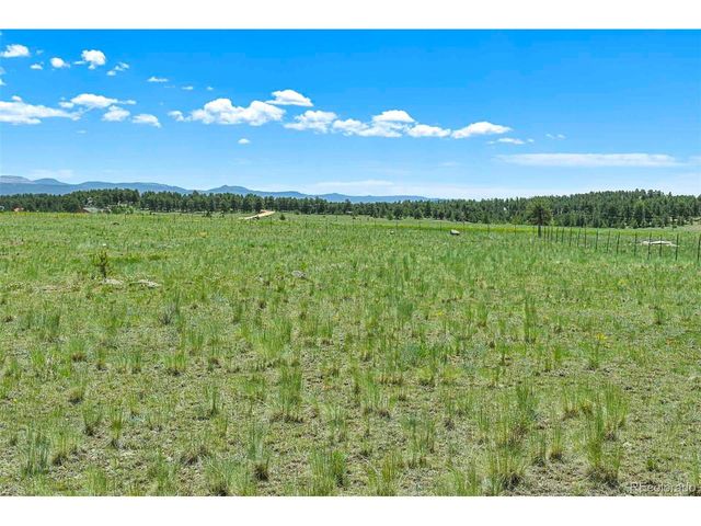 56 View Ln, Guffey, CO 80820