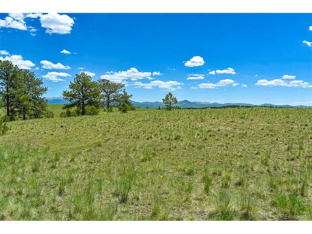56 View Ln, Guffey, CO 80820