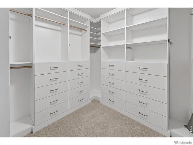 834 Confidence Drive, Longmont, CO 80504