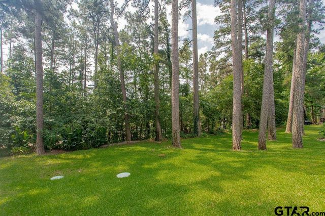 1511 E Tanglewood Drive, Hideaway, TX 75771